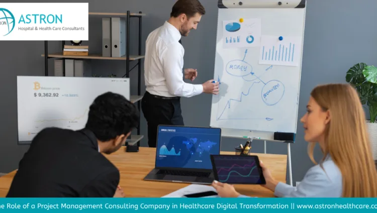 Project Management Consulting Company