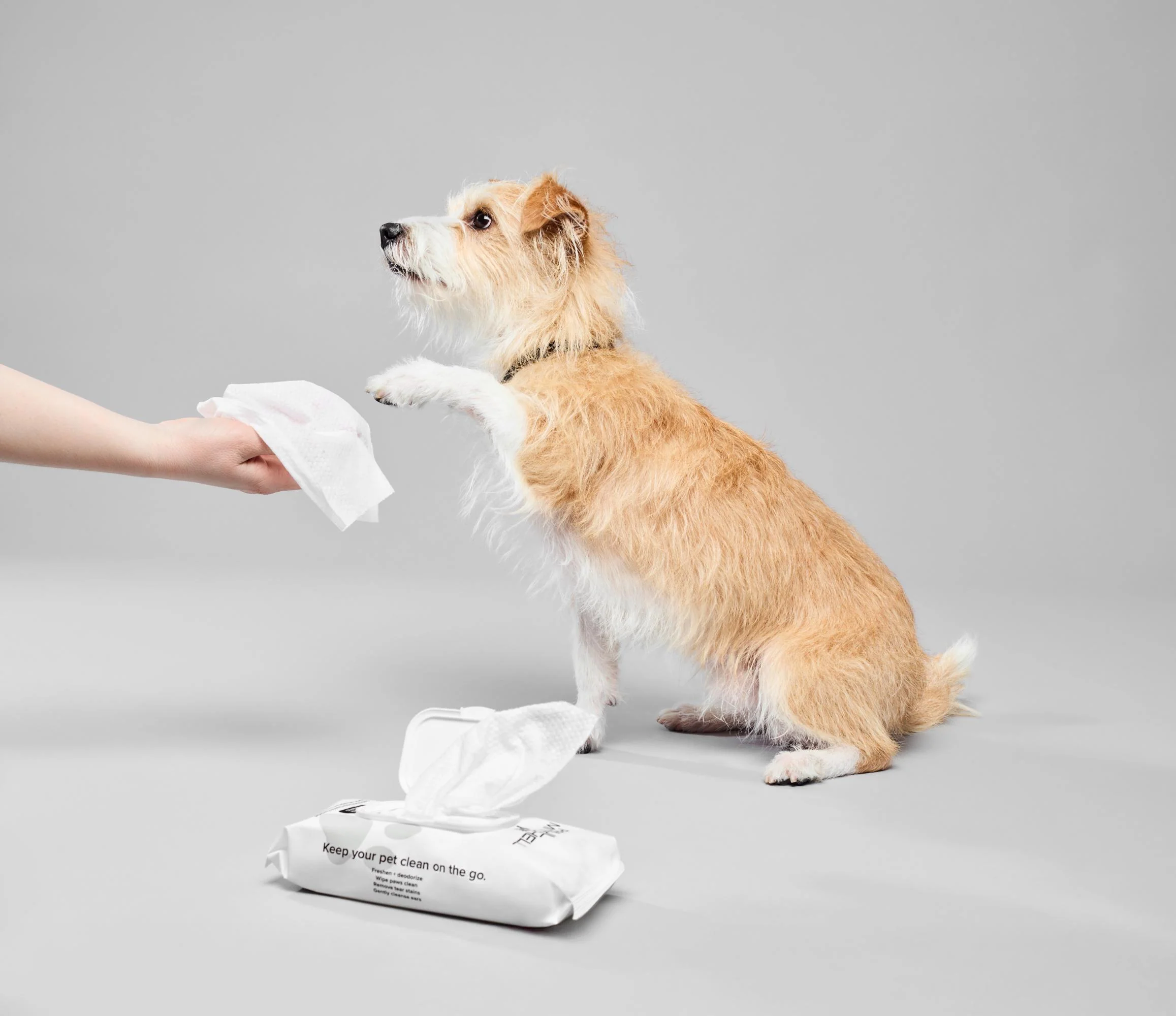dog wipes