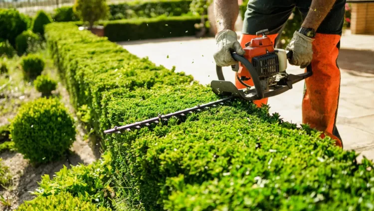 Hedge Trimming Preston