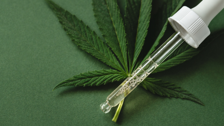 What Is the Difference Between CBD and Medicinal Marijuana?