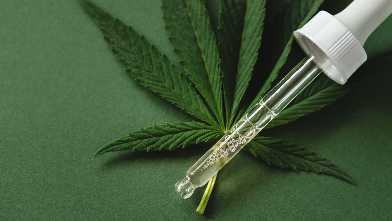What Is the Difference Between CBD and Medicinal Marijuana?