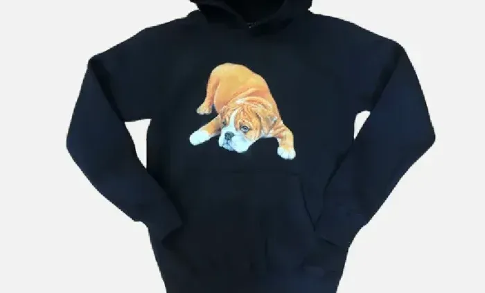 Adwysd Hoodie