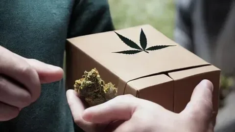 Weed Delivery