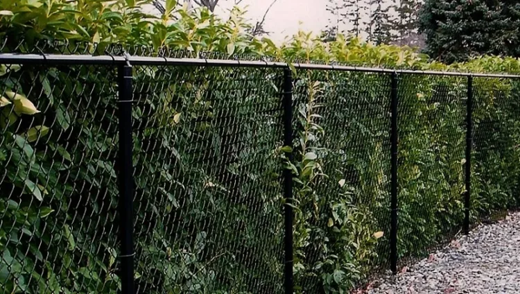 Asheville Wood Fence