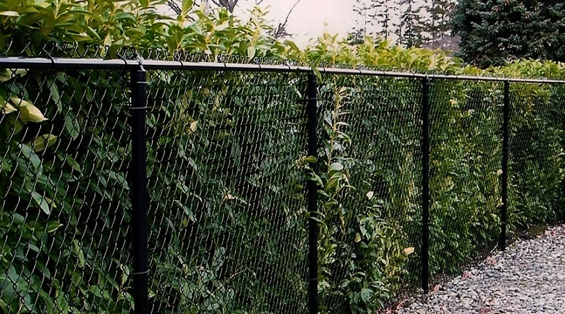 Asheville Wood Fence